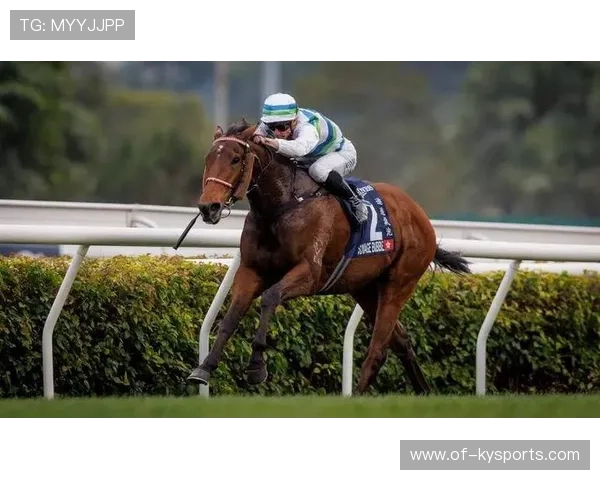 克罗地亚骑手吉塔·日特科维奇在2024年国际马术联合会世界障碍赛中以“Rain in Otago”马匹获得第九名，表现出色。